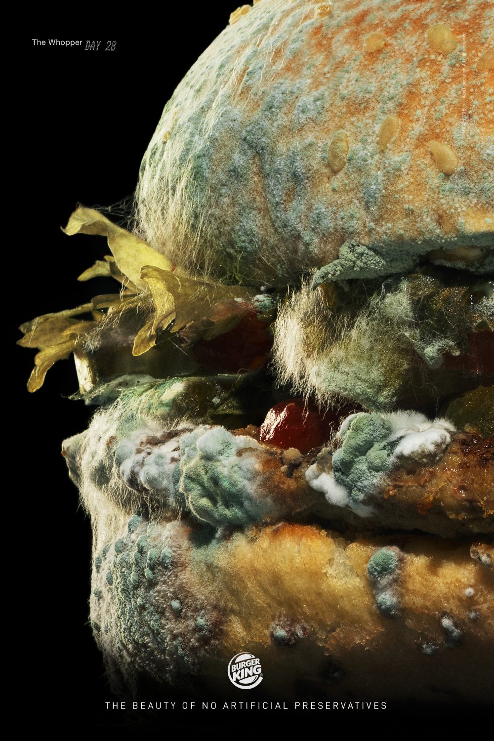 2020-Burger King-Moldy Whopper-Day 1-Publicis Spain  Romania-JPG