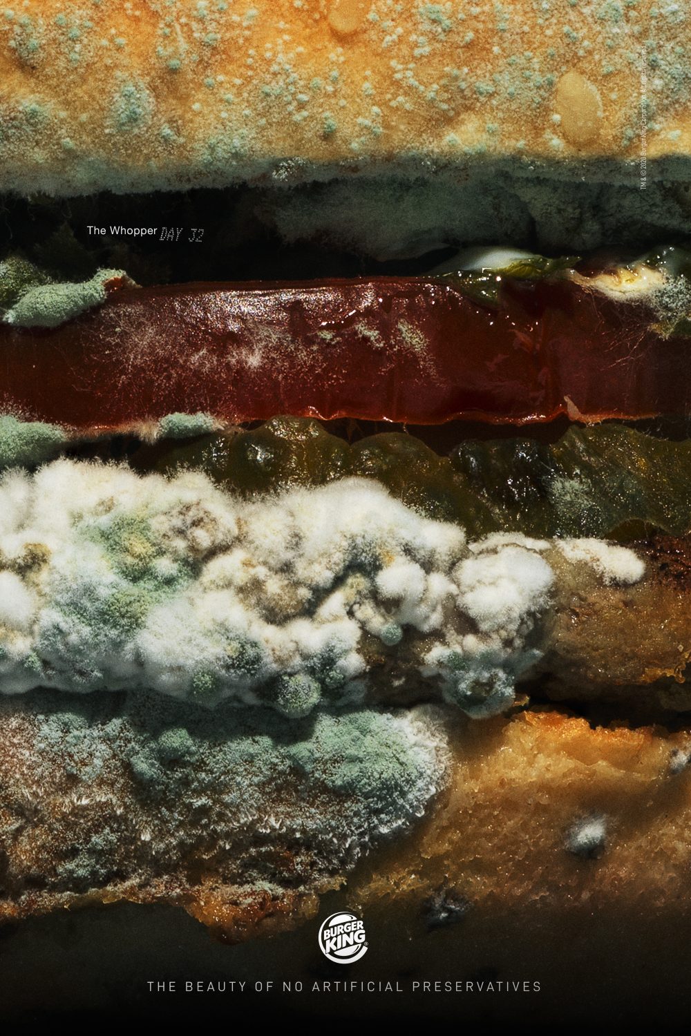 2020-Burger King-Moldy Whopper-Day 2-Publicis Spain  Romania-JPG